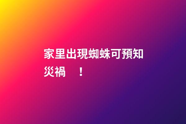家里出現蜘蛛可預知災禍！